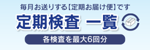 6回分をお届けします定期検査